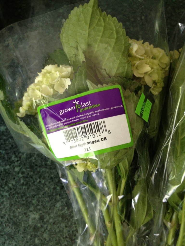 supermarket flowers