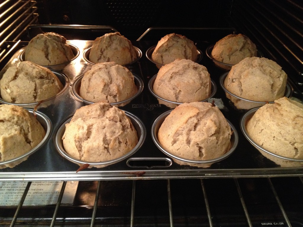 fresh muffins